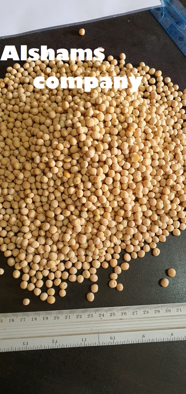Product image - We would like to offer our Dried peas
Origin: Egypt
Availability:
• Dried peas 's season from now.
Price: depended on package and destination
Dried peas Specification:-
• Class 1
Packing available:-
25 kg pp bags,
container 20ft dry contain 23:25 tons.
Company Name : Alshams company for general import and export
Location : Egypt, el gharpia , kafer elzayat
Contact us :
mrs-donia mostafa
sales dep
Email: alshams.info@